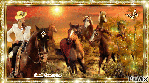 A garota e seu cavalo - Zdarma animovaný GIF