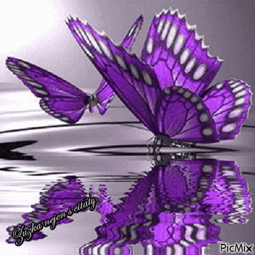 motýl - 免费动画 GIF