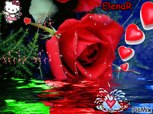 Roses for love - Δωρεάν κινούμενο GIF