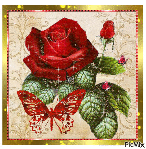 Some red roses. - GIF animé gratuit
