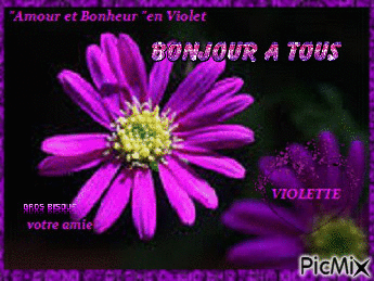Amour et bonheur en violet - GIF animé gratuit