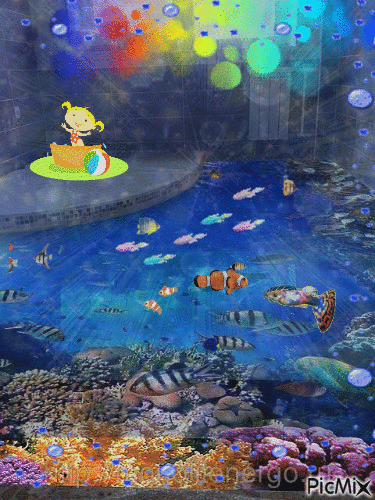 Nemo twins - 無料のアニメーション GIF