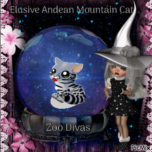 Elusive Andean Mountain Cat - Бесплатный анимированный гифка