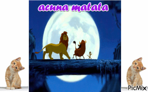 acuna matata - Zdarma animovaný GIF