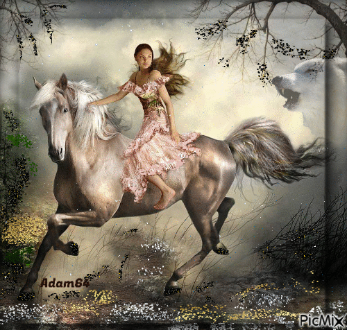 Horsewoman - Animovaný GIF zadarmo