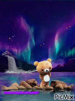 Bear Country - GIF animé gratuit