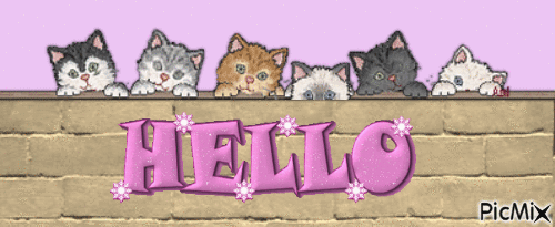 kittens hello - GIF animé gratuit