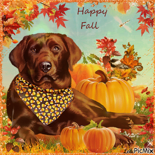 Autumn. Dog. Happy Fall - Zdarma animovaný GIF