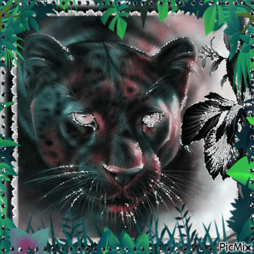 Panther - Besplatni animirani GIF