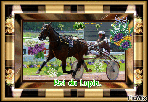 Le champion Roi du Lupin. - Δωρεάν κινούμενο GIF