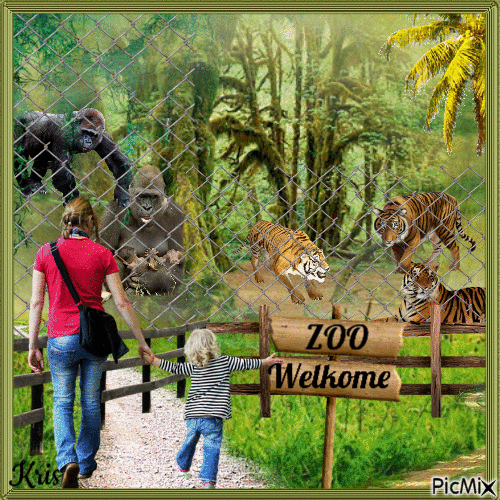 Zoo d'animaux sauvages/concours - Zdarma animovaný GIF