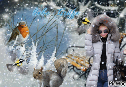Winterdreems - Ingyenes animált GIF