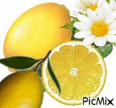 Limones y margaritas... - Δωρεάν κινούμενο GIF