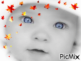 baby - Bezmaksas animēts GIF