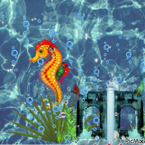 Sea horse at home - Zdarma animovaný GIF