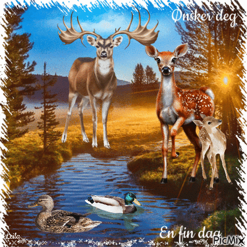 Wish you a nice day. Deers - GIF animado grátis