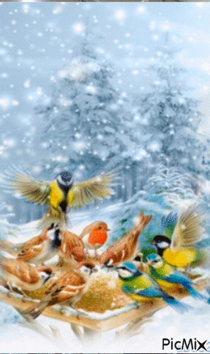 les oiseaux - Animovaný GIF zadarmo