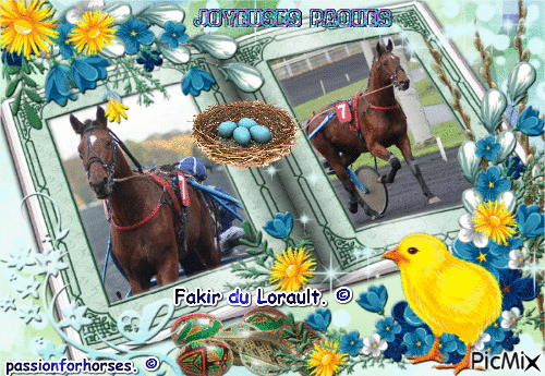 Le champion Fakir du Lorault. © - GIF animé gratuit