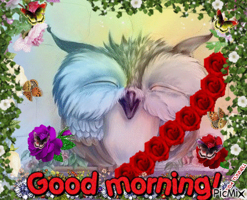 GOOD MORNING OWL 12 - GIF animado grátis
