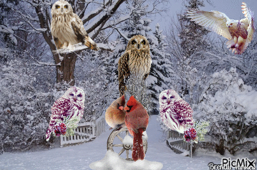winter owl - GIF animasi gratis