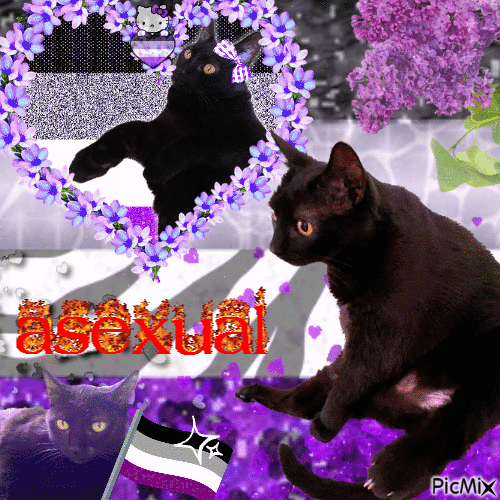 pride asexual - GIF animé gratuit
