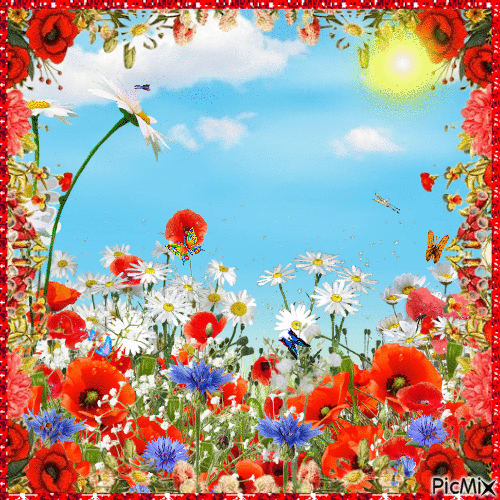 SM3 BACKGROUND hippie blur pattern flower GIF - Free PNG - PicMix