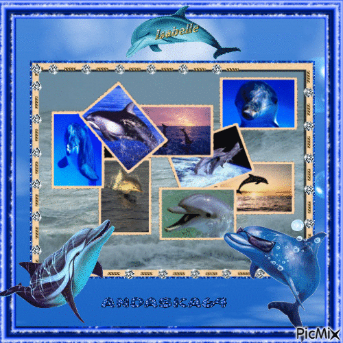 de magnifique dauphins - GIF animé gratuit