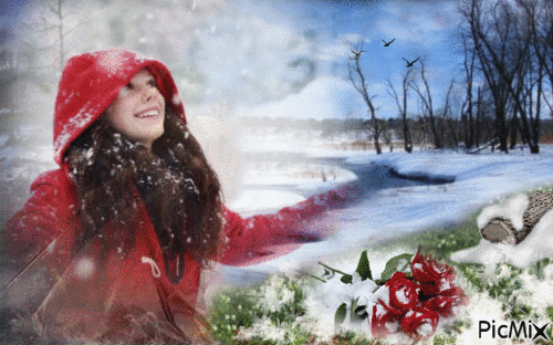 розы на снегу - Безплатен анимиран GIF