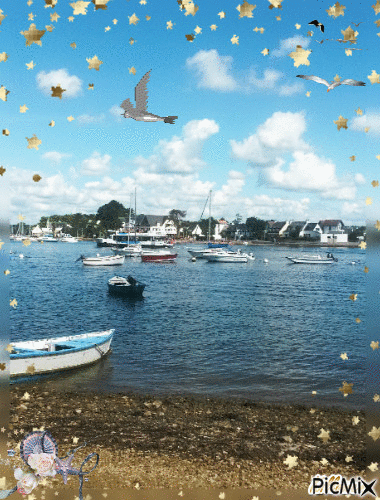 Mer Morbihan - GIF animate gratis