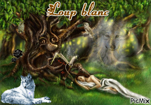 Loup blanc - Δωρεάν κινούμενο GIF