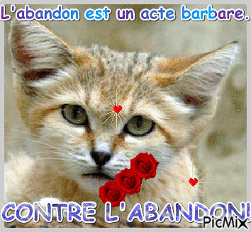 CONTRE L'ABANDON!!!! - Бесплатный анимированный гифка