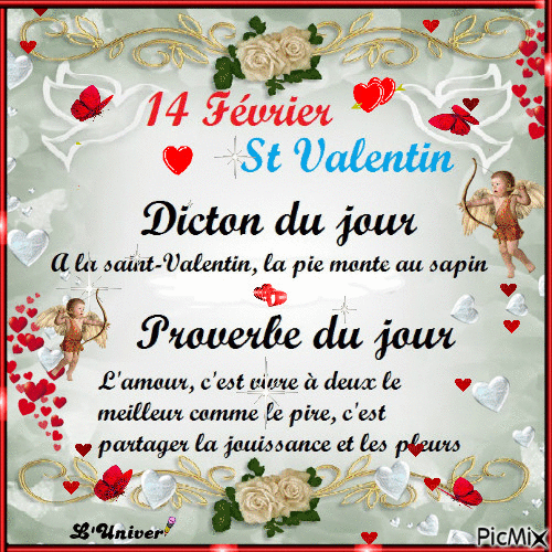 dicton et proverbe 14 février st valentin - Бесплатный анимированный гифка