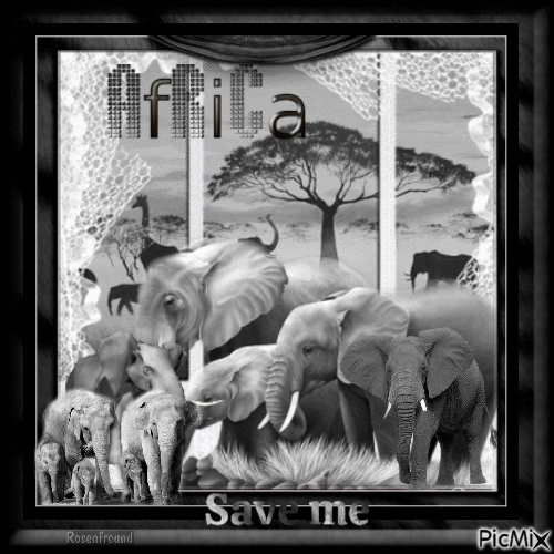 Elefanten schützen - Gratis animerad GIF