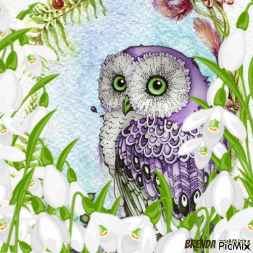 spring owl - png ฟรี