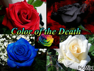 Couverture Nouvelle Color of the Death - GIF animé gratuit