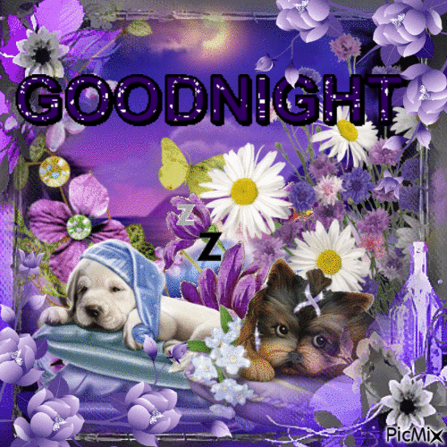 Goodnight - sleep message - Безплатен анимиран GIF