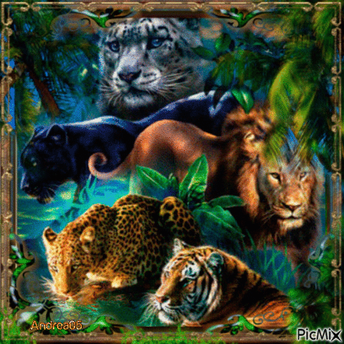 Wild cats... - Безплатен анимиран GIF