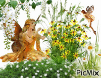 Flower Faeries - Free animated GIF