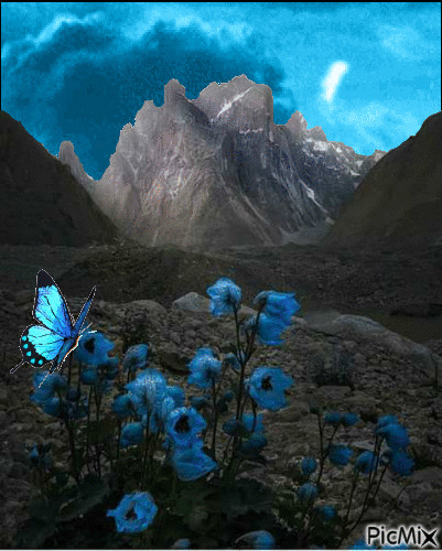 blue nature - GIF animate gratis