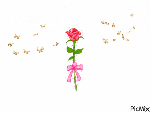 rosa - GIF animado gratis