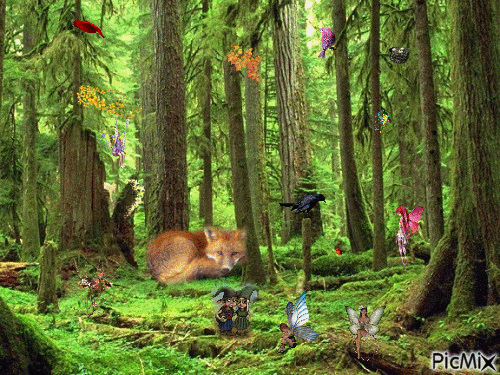 La forêt - GIF animate gratis