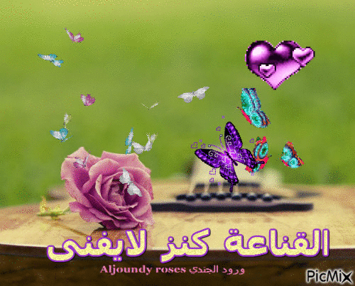 القناعة كنز - Bezmaksas animēts GIF