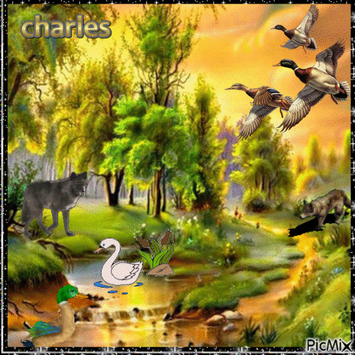 charles - GIF animé gratuit
