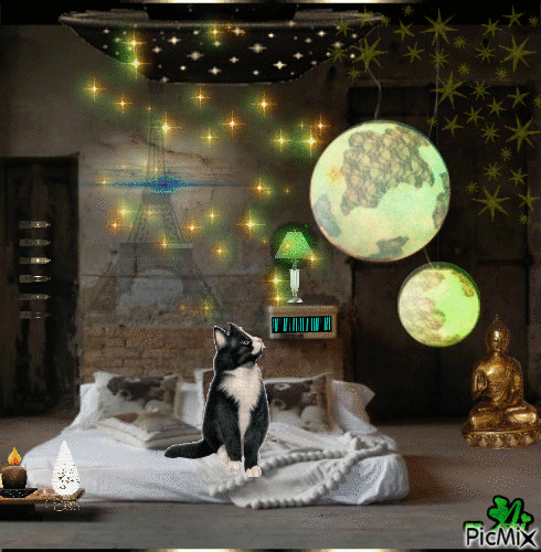 Concours "Déco chambre clair de lune" - 免费动画 GIF