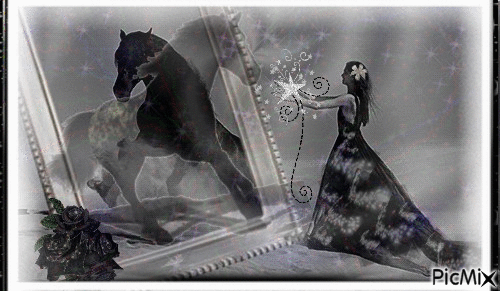 woman and horse - Ilmainen animoitu GIF