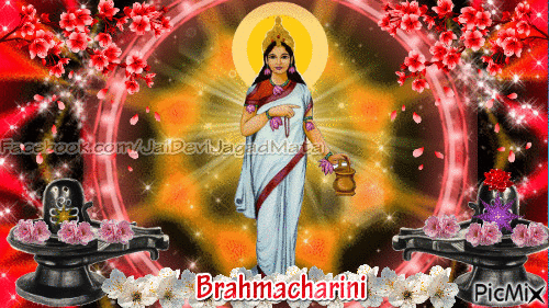 Brahmacharini.GIF - GIF animé gratuit