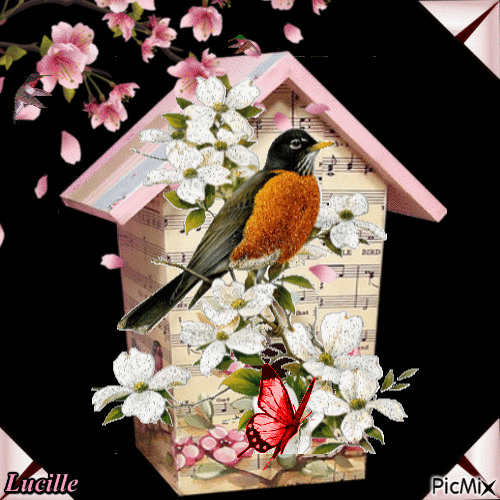bird house - Besplatni animirani GIF