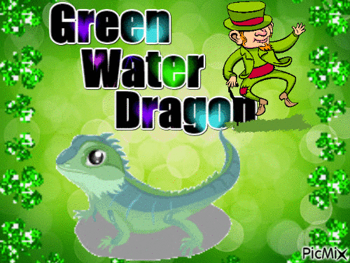 Green Water Dragon - Gratis animeret GIF