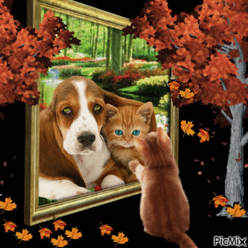 kedi ve köpek - GIF animate gratis