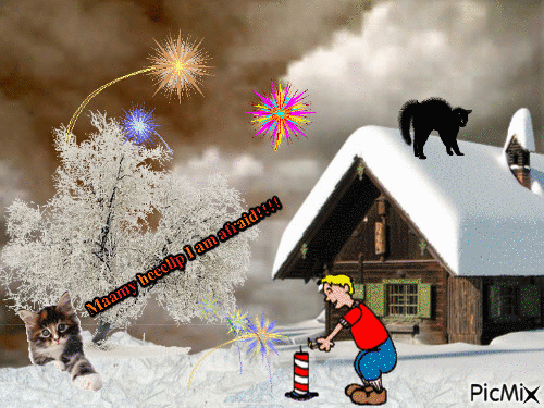 Please be carefull with our animals in the firework. Go long way from houses. - GIF animé gratuit